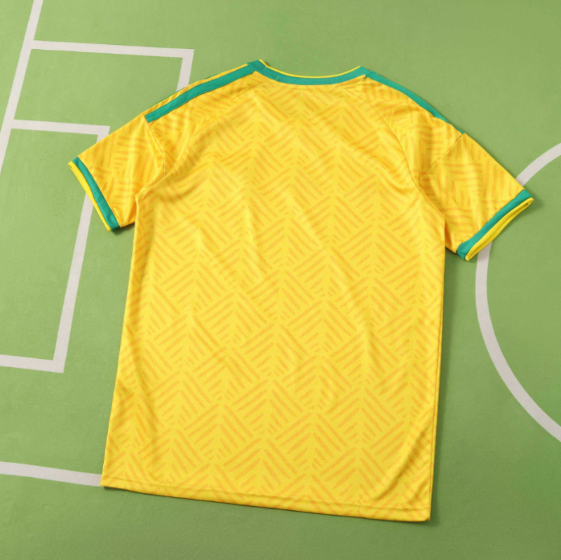 2026 South Africa home jersey fans version