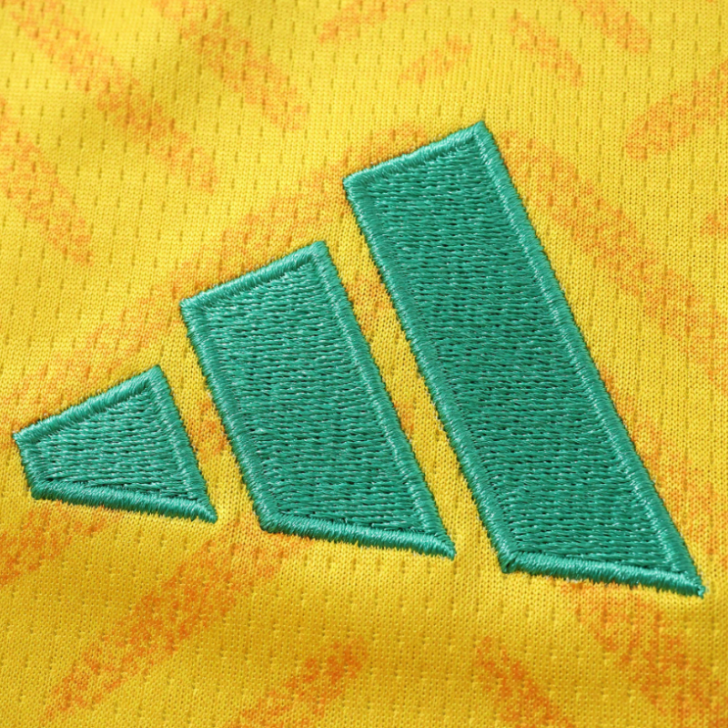 2026 South Africa home jersey fans version