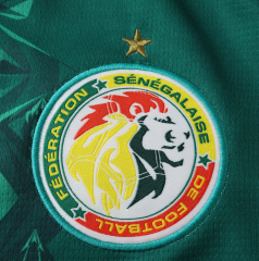 2026 Senegal away jersey fans version size s-4xl