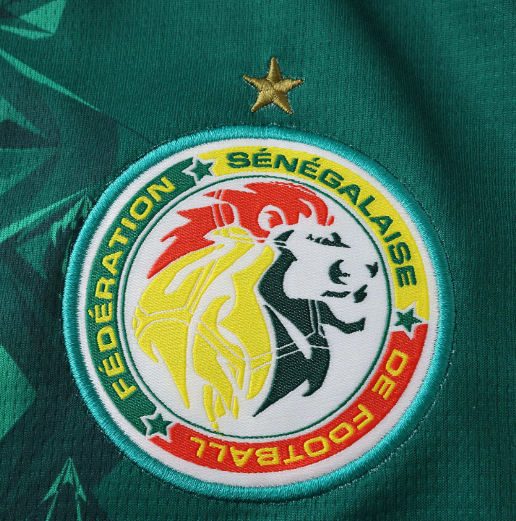 2026 Senegal away jersey fans version size s-4xl