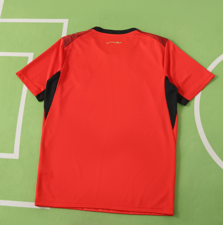 2026 Egypt home jersey fans version men size s-xxl