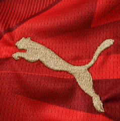 2026 Egypt home jersey fans version men size s-xxl
