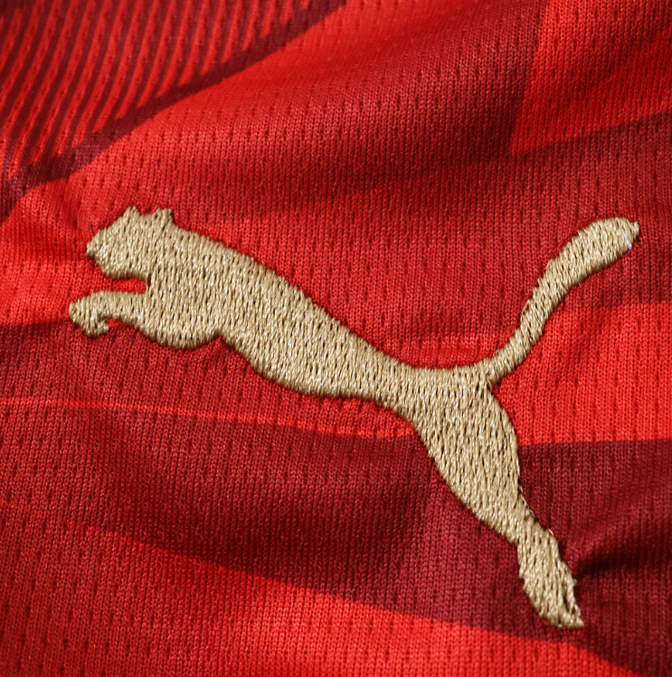 2026 Egypt home jersey fans version men size s-xxl