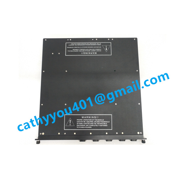 4351B    Communication Module  supply by Triconex