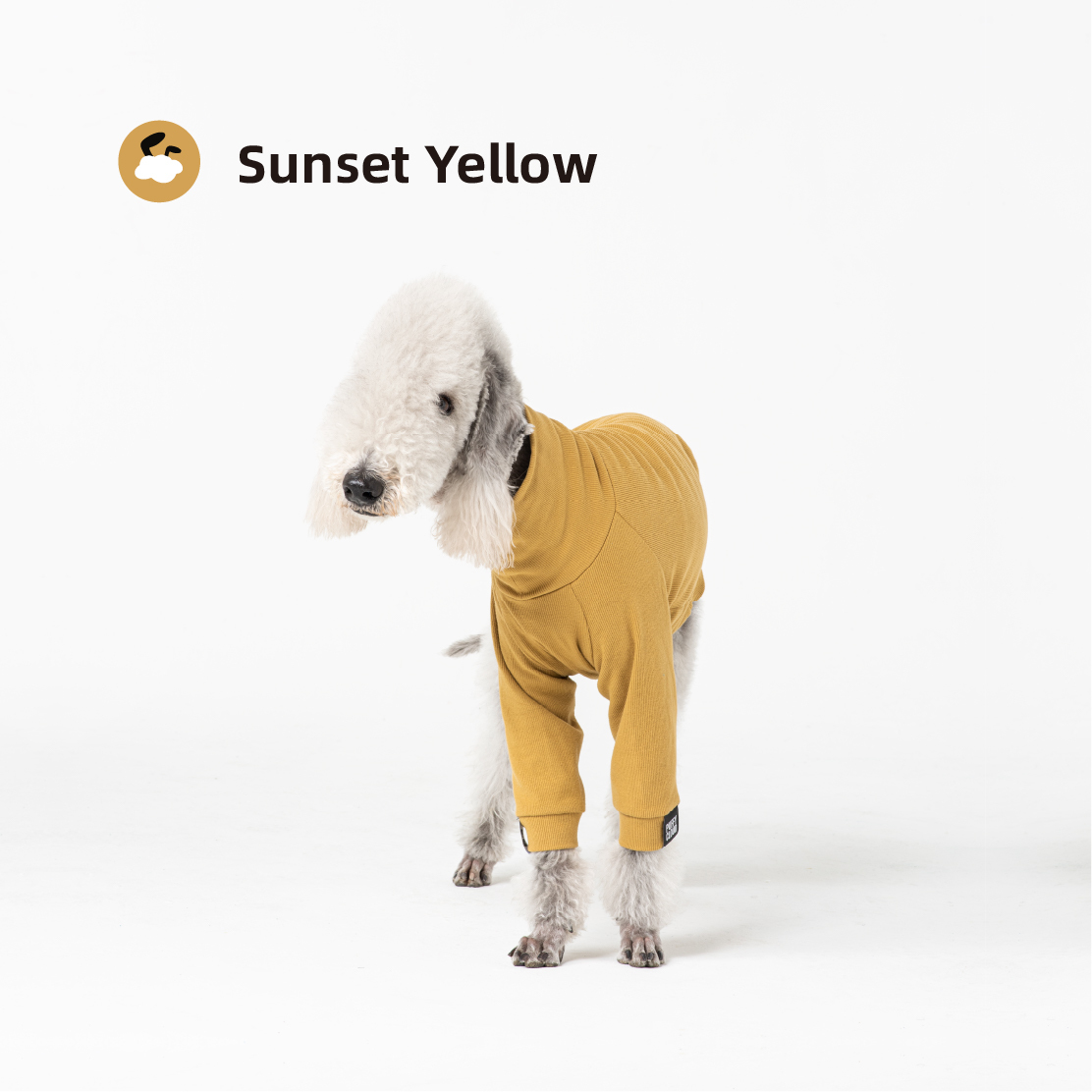 Sportsuit(23SS)