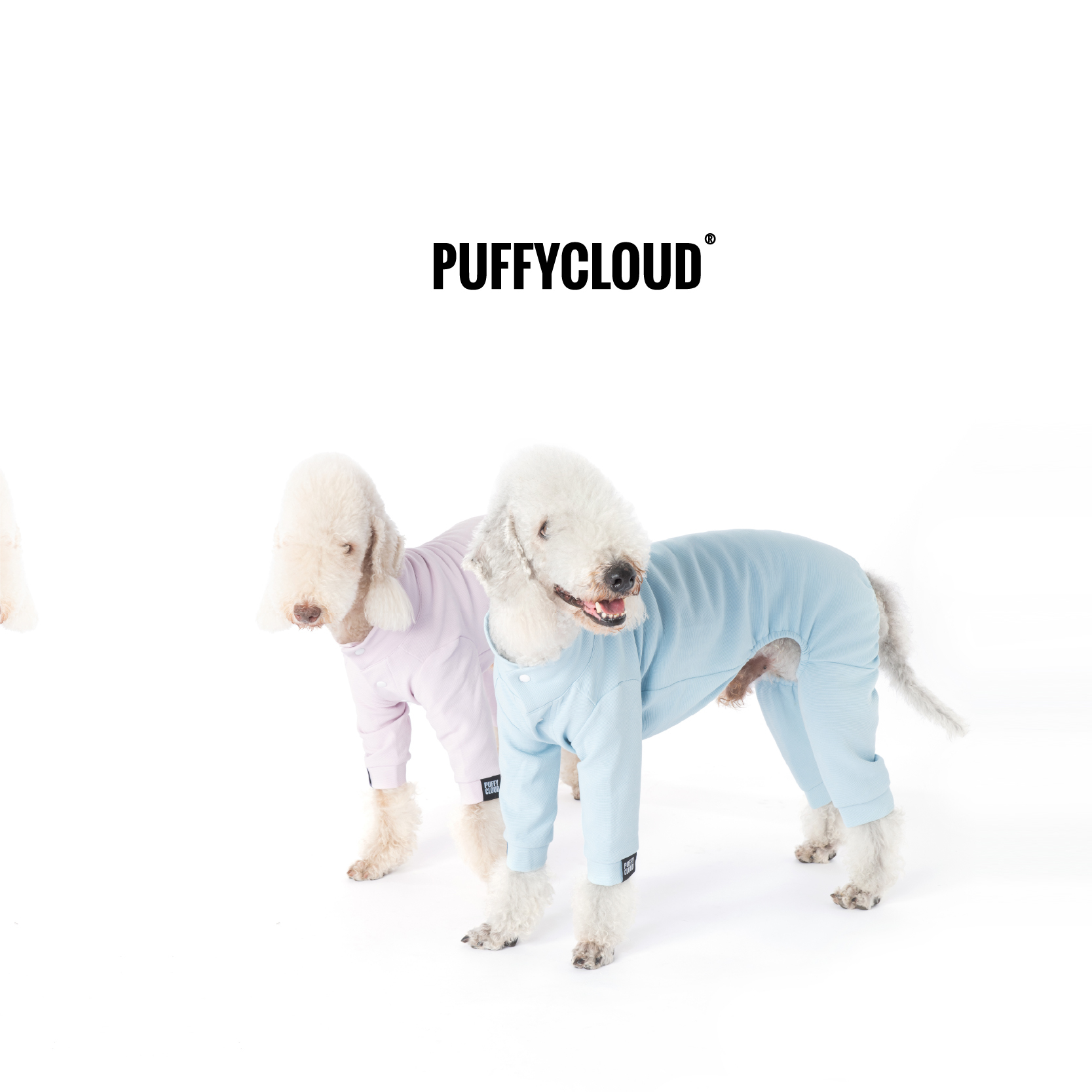 Button Onesie