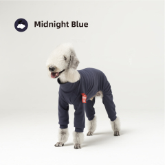 MidnightBlue