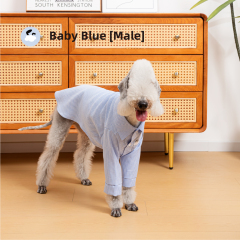 Boys-T-Shirt-Blue