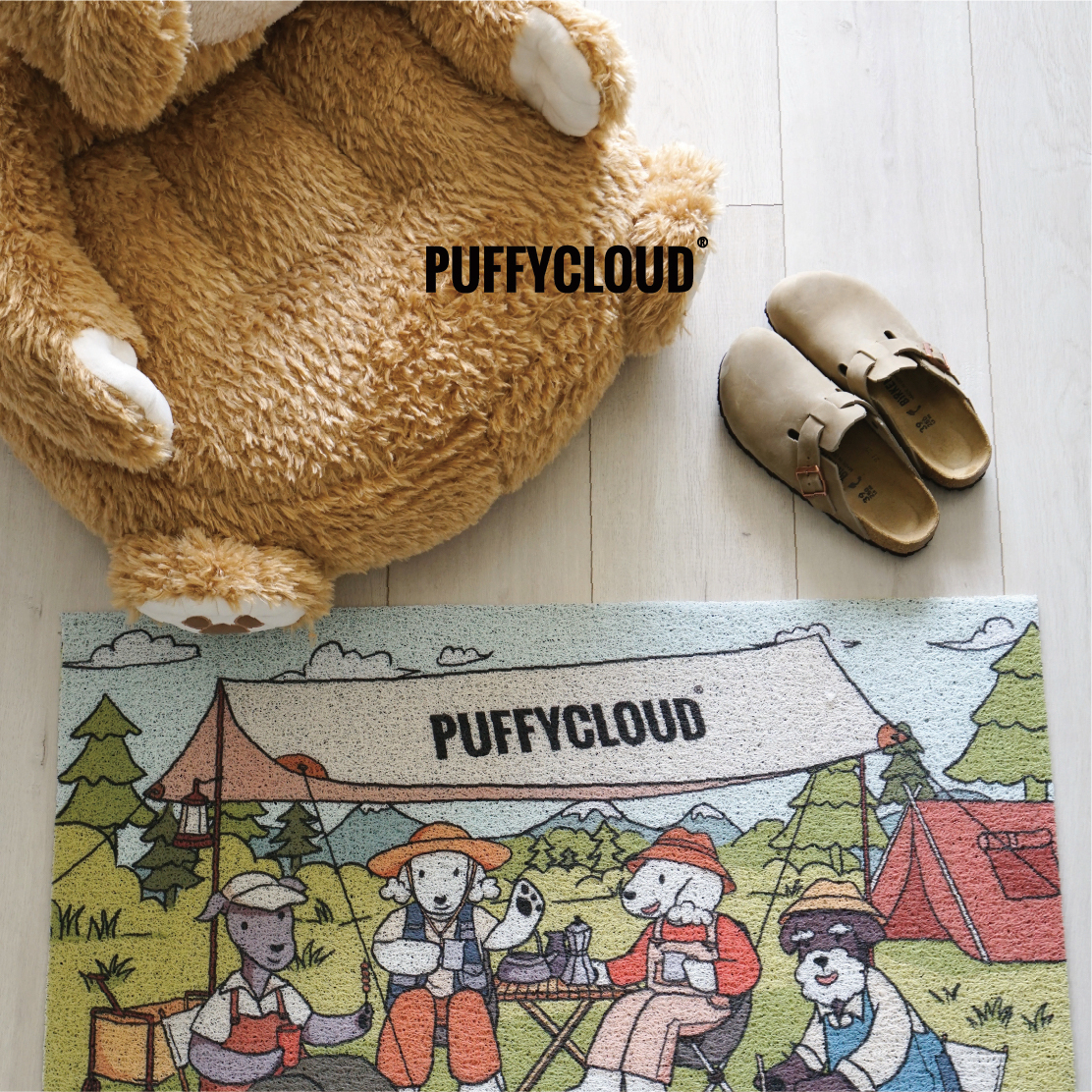 Dust-proof Foot Mat