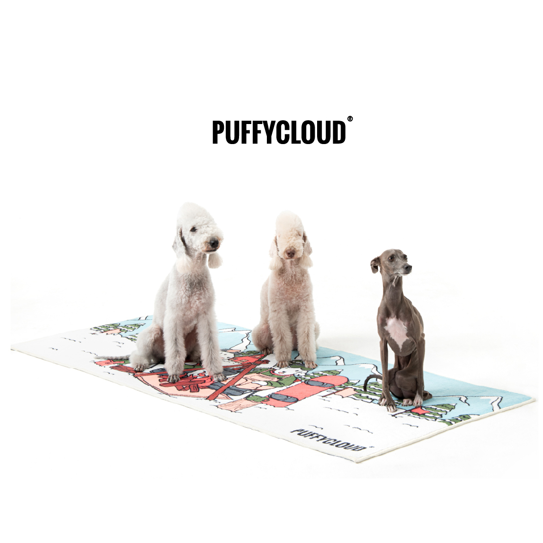 Pet Carpet