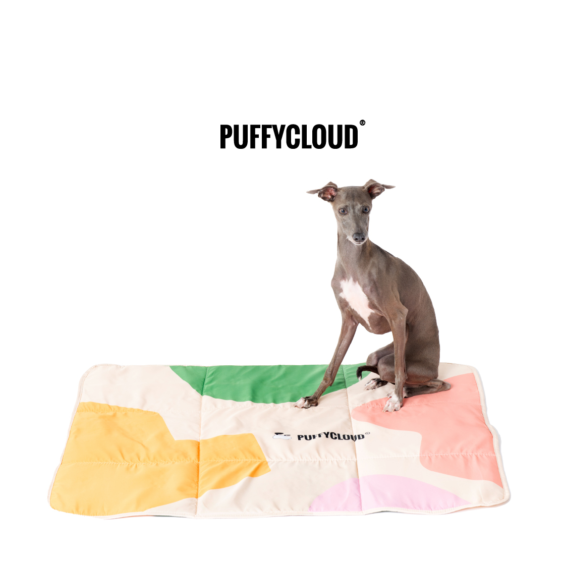 Pet Mat