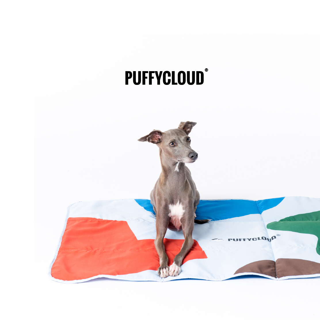 Pet Mat