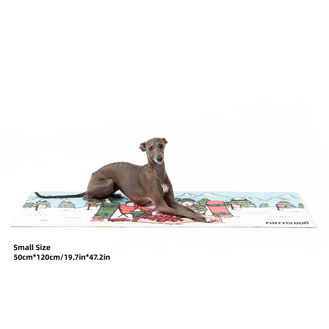 Pet Carpet