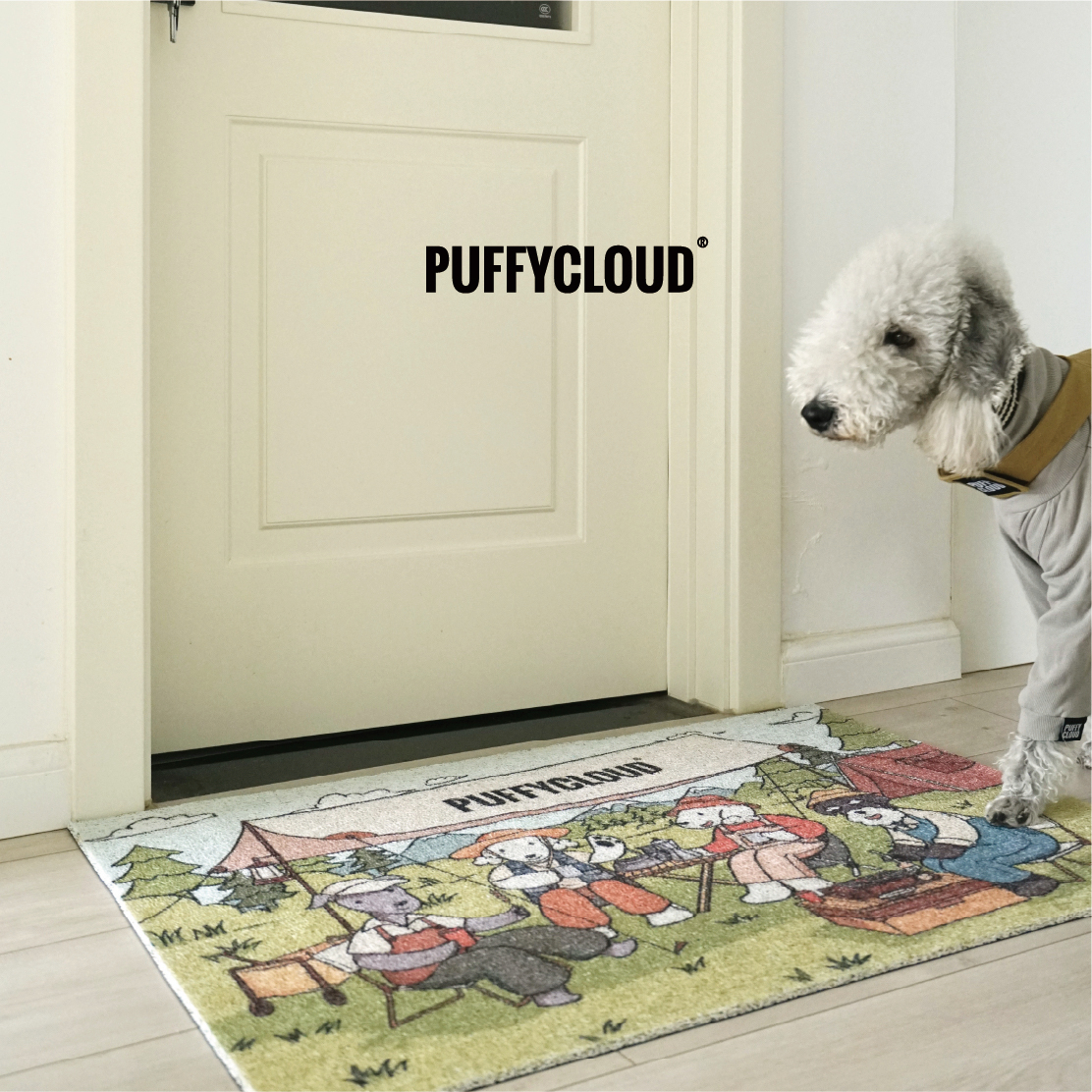 Dust-proof Foot Mat