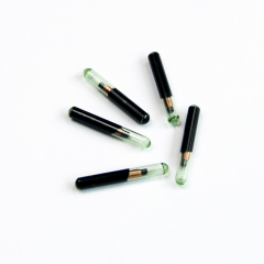 LF RFID Tag 134.2KHz Bio glass with bio coating for implanting into cattle,dog,cow, sheep for tracking
