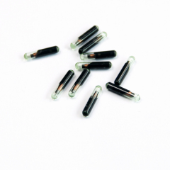 LF RFID Tag 134.2KHz Bio glass with bio coating for implanting into cattle,dog,cow, sheep for tracking