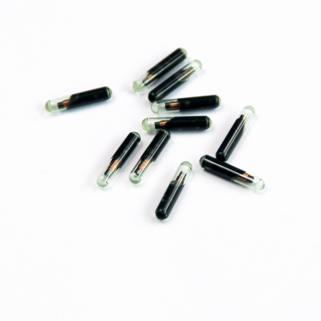 LF RFID Tag 134.2KHz Bio glass with bio coating for implanting into cattle,dog,cow, sheep for tracking