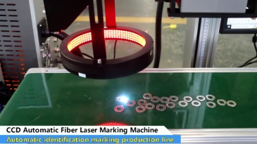 High Spped Automatic Focusing CCD Fiber Laser Marking Machine for Metal Logo Printing