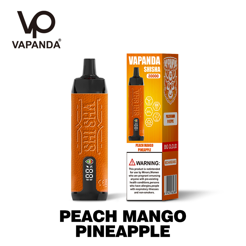 VAPANDA SHISHA 20000 Puffs | EU Warehouse Shipping | 3-7 Days Delivery | Digtal Screen | DTL Vape