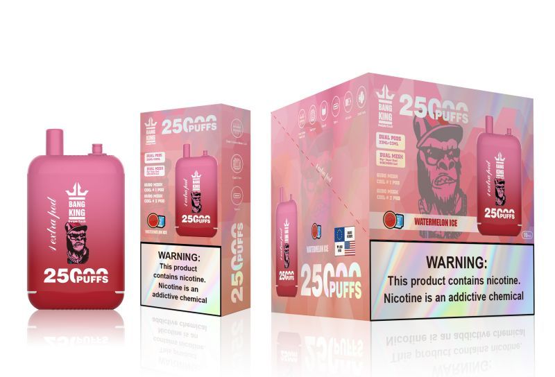 BANG KING 25000 PUFFS | 25K Puff Disposable Vape | Dual Tank Electronic Cigarette | Switch Mounth Tip