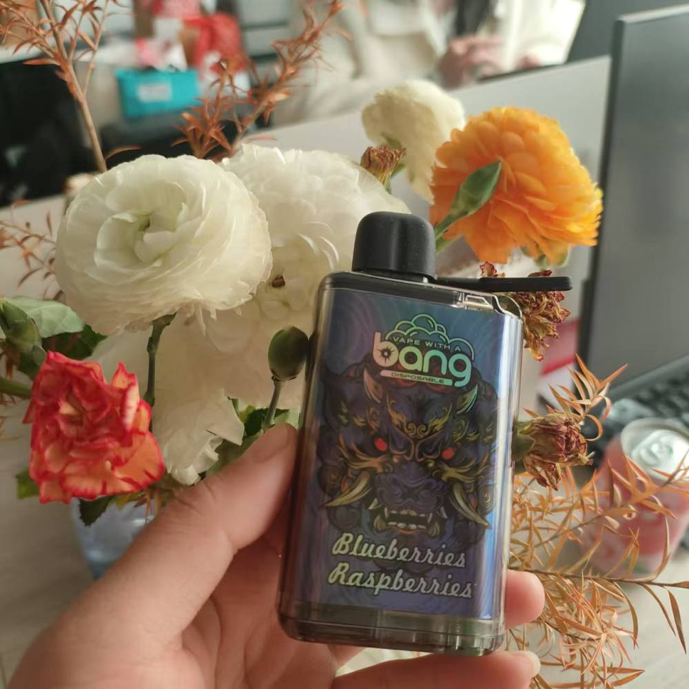 Bang 28000 Puffs Ice Control Wholesale Disposable Vape Puff 28k Electronic Cigarette Whoelsale I Vape