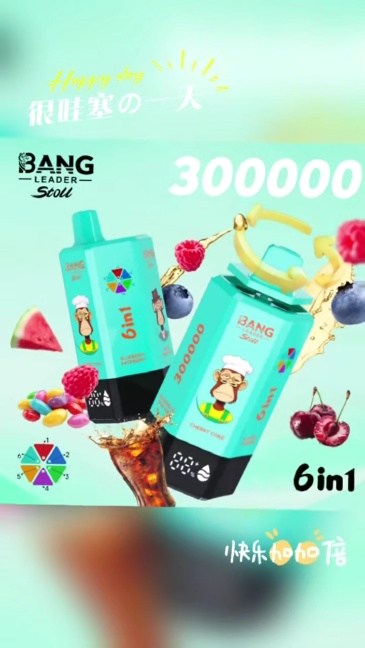 Bang Leader Stoll 300K Puffs 300000 6 in 1 Vape Wholesale Disposable Vape Bulk Buy Online Store Ecig