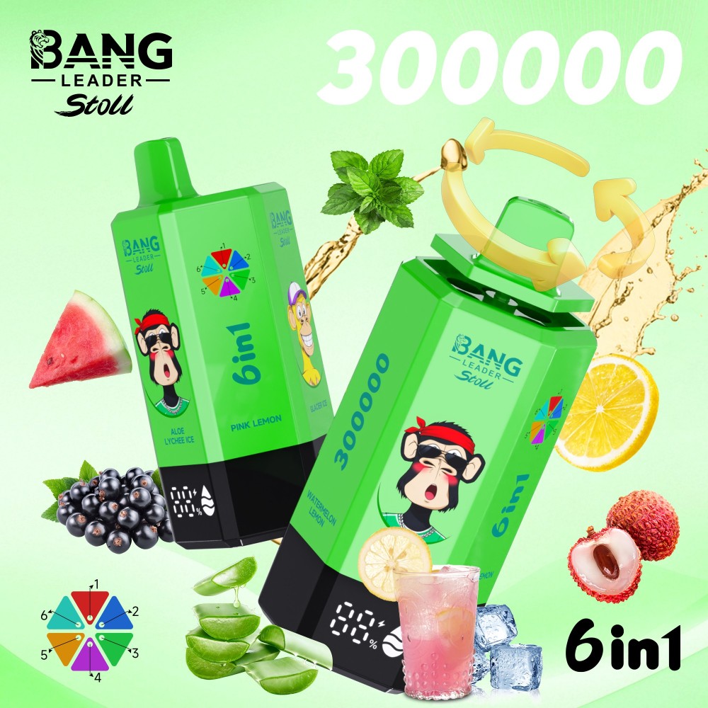 Bang Leader Stoll 300K Puffs 300000 6 in 1 Vape Wholesale Disposable Vape Bulk Buy Online Store Ecig