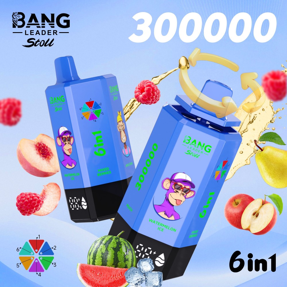 Bang Leader Stoll 300K Puffs 300000 6 in 1 Vape Wholesale Disposable Vape Bulk Buy Online Store Ecig