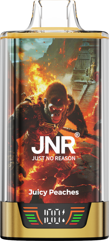 Jnr Roge Gorillo 55000 55K Puffs Vape Wholesale Cheap Price Disposable Vaper Pen