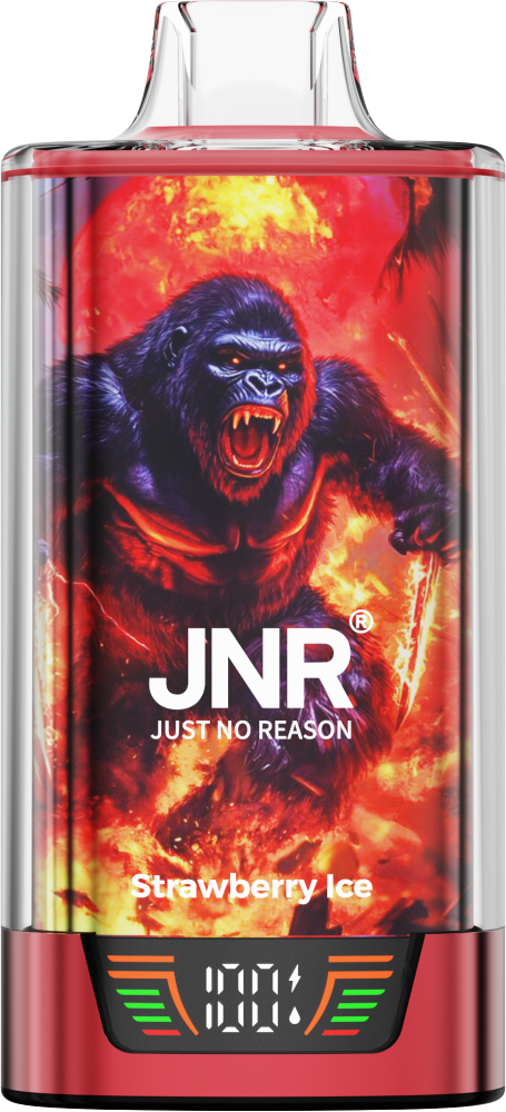 Jnr Roge Gorillo 55000 55K Puffs Vape Wholesale Cheap Price Disposable Vaper Pen