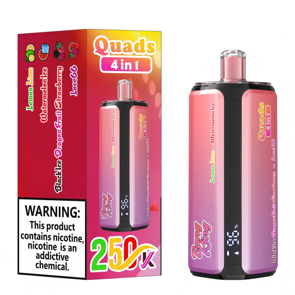 Bang King 250K Puffs 4-in-1 Disposable Vape Wholesale Bulk E Cigarette