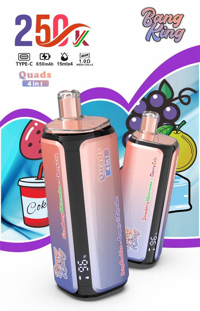 Bang King 250K Puffs 4-in-1 Disposable Vape Wholesale Bulk E Cigarette