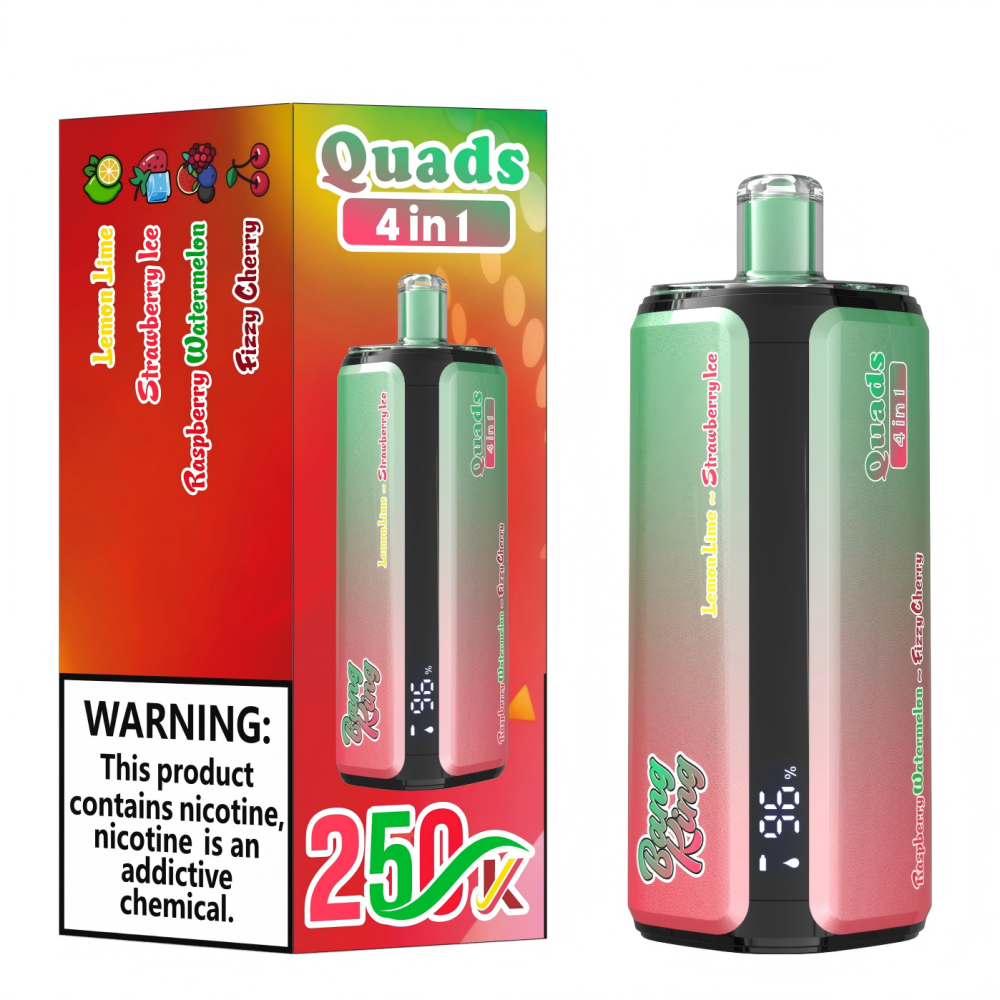 Bang King 250K Puffs 4-in-1 Disposable Vape Wholesale Bulk E Cigarette