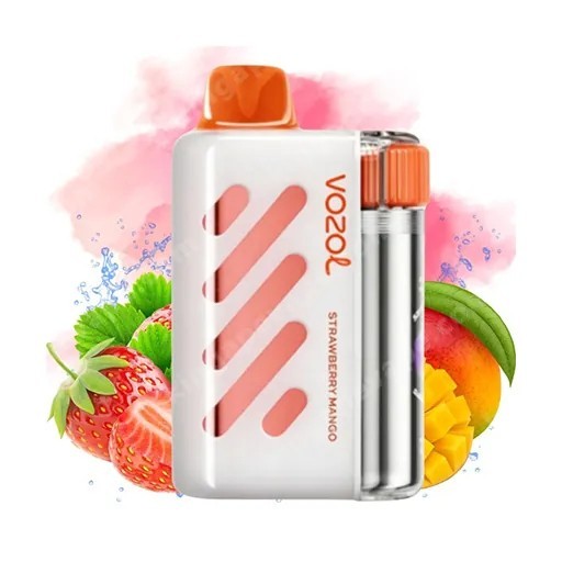 Vozol Vista 40K Puffs Disposable Vape – EU Warehouse High Quality Vape Fast Shipping