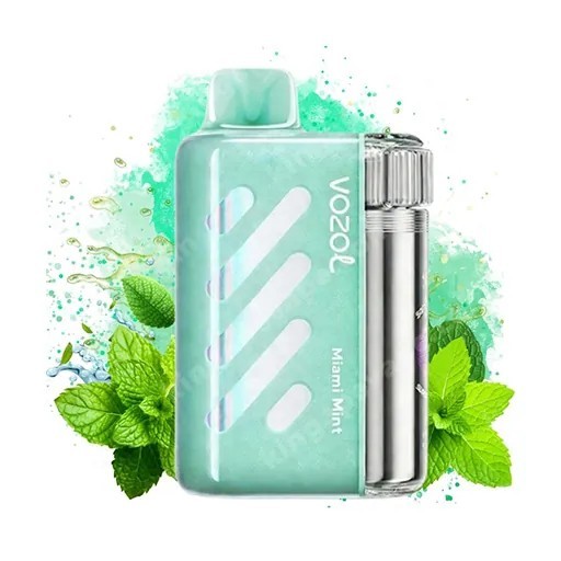 Vozol Vista 40K Puffs Disposable Vape – EU Warehouse High Quality Vape Fast Shipping