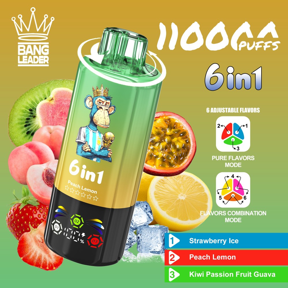 Bang Leader 110K Puffs Disposable Vape Wholesale | 6-in-1 Flavor Vape with 3 Oil Tanks & Adjustable Nicotine Options
