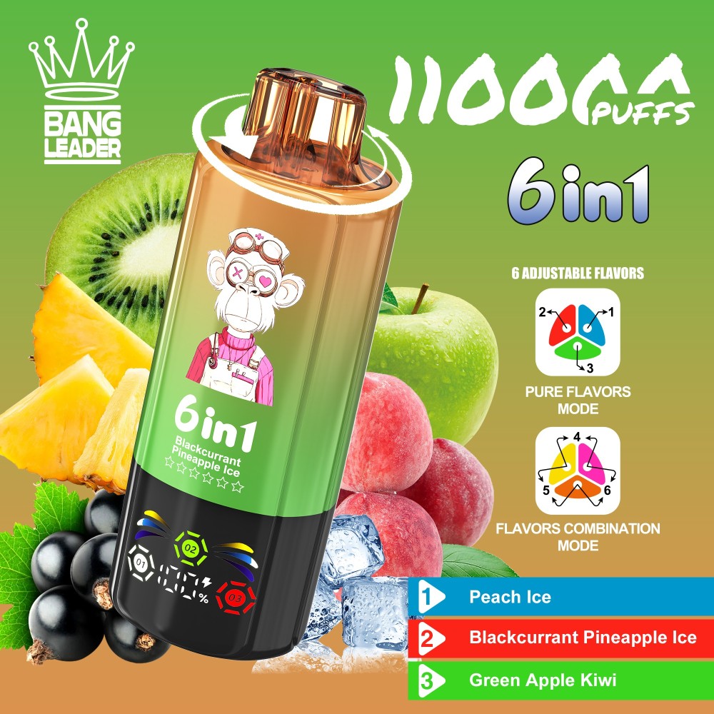 Bang Leader 110K Puffs Disposable Vape Wholesale | 6-in-1 Flavor Vape with 3 Oil Tanks & Adjustable Nicotine Options