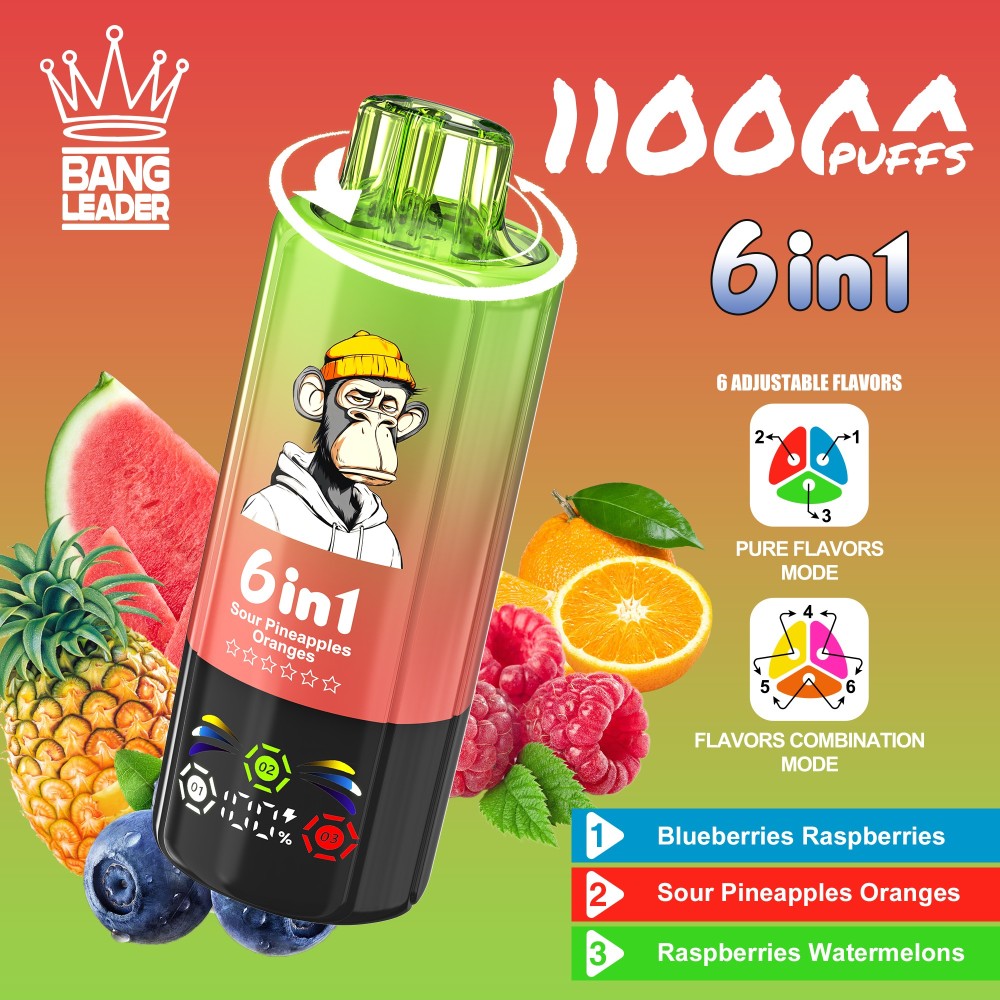 Bang Leader 110K Puffs Disposable Vape Wholesale | 6-in-1 Flavor Vape with 3 Oil Tanks & Adjustable Nicotine Options