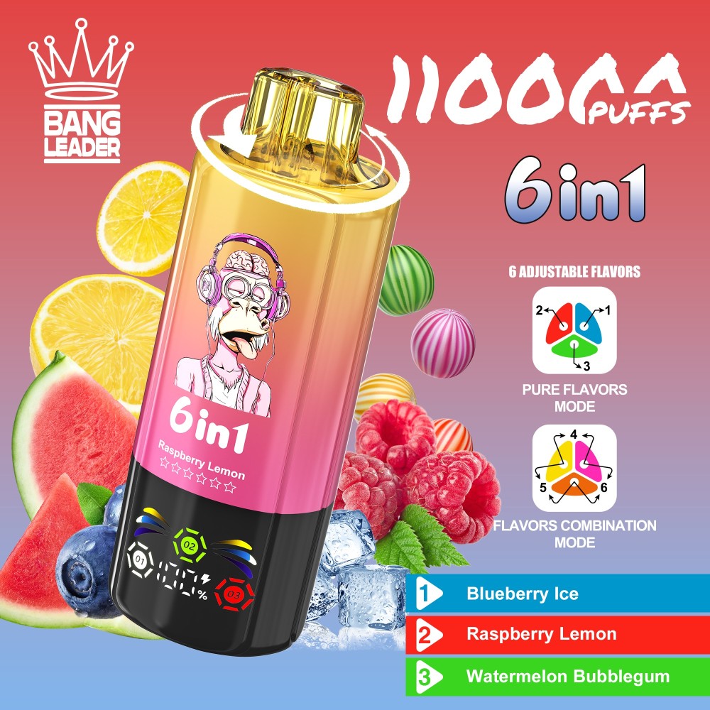 Bang Leader 110K Puffs Disposable Vape Wholesale | 6-in-1 Flavor Vape with 3 Oil Tanks & Adjustable Nicotine Options