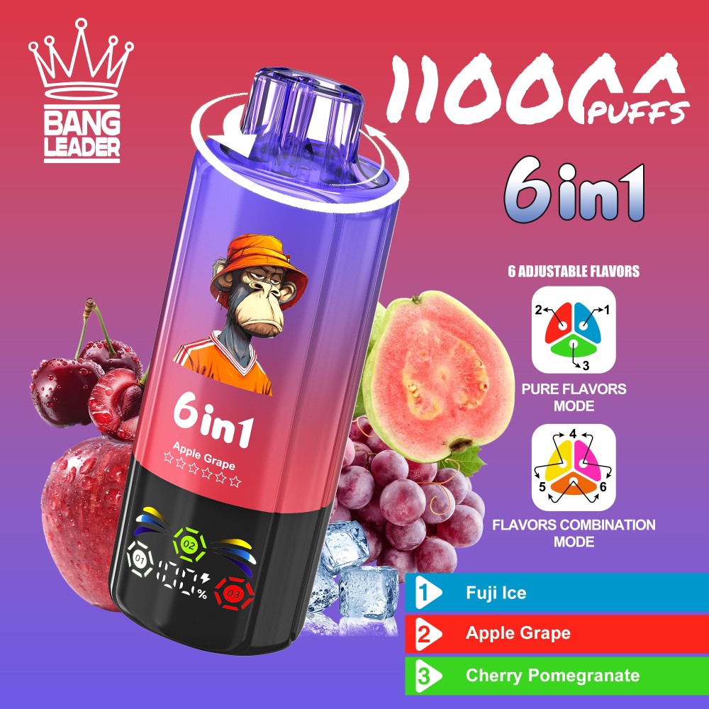 Bang Leader 110K Puffs Disposable Vape Wholesale | 6-in-1 Flavor Vape with 3 Oil Tanks & Adjustable Nicotine Options