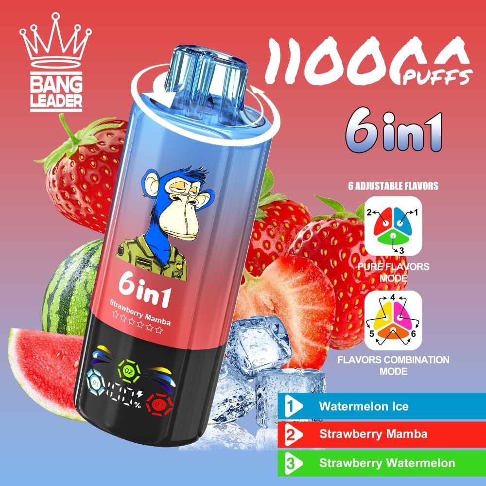 Bang Leader 110K Puffs Disposable Vape Wholesale | 6-in-1 Flavor Vape with 3 Oil Tanks & Adjustable Nicotine Options