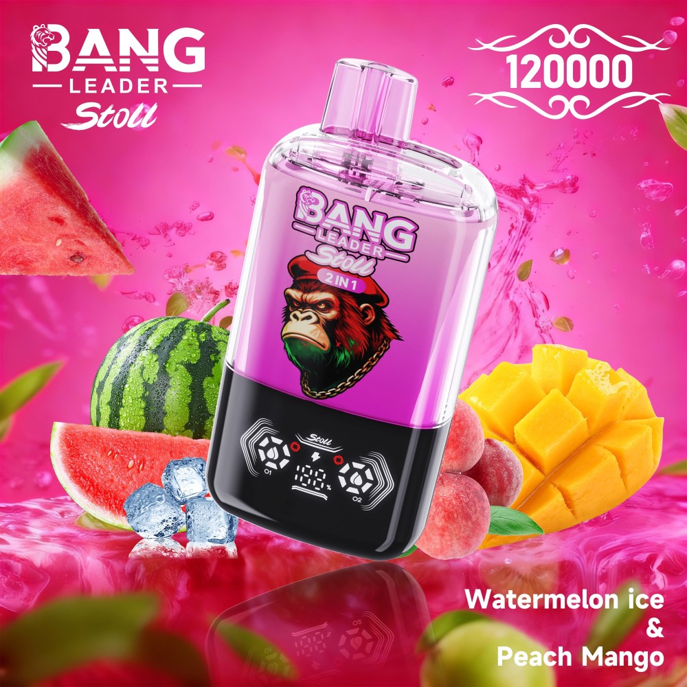 Bang Leader 120000 Puffs Vape Wholesale | High Capacity 2 IN 1 Flavor Vape with 650mAh Battery, Type-C Fast Charging & Smart Display