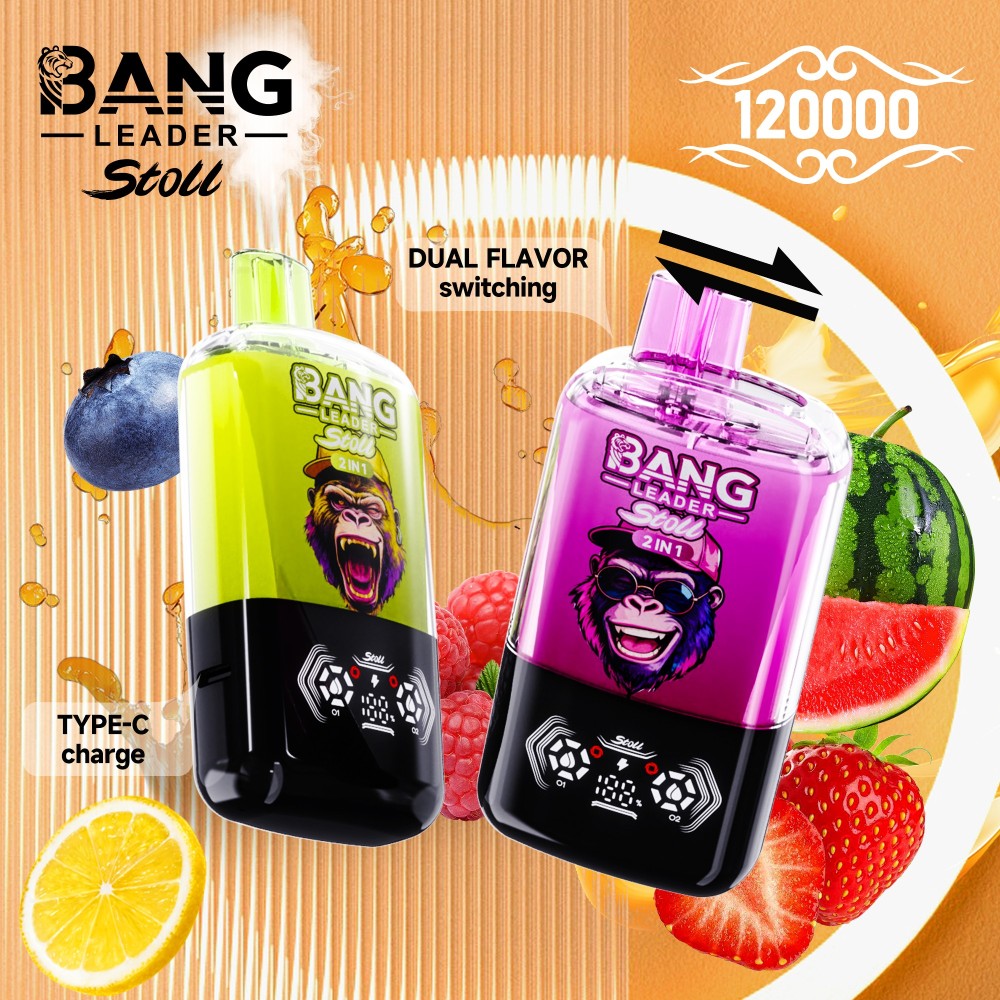 Bang Leader 120000 Puffs Vape Wholesale | High Capacity 2 IN 1 Flavor Vape with 650mAh Battery, Type-C Fast Charging & Smart Display