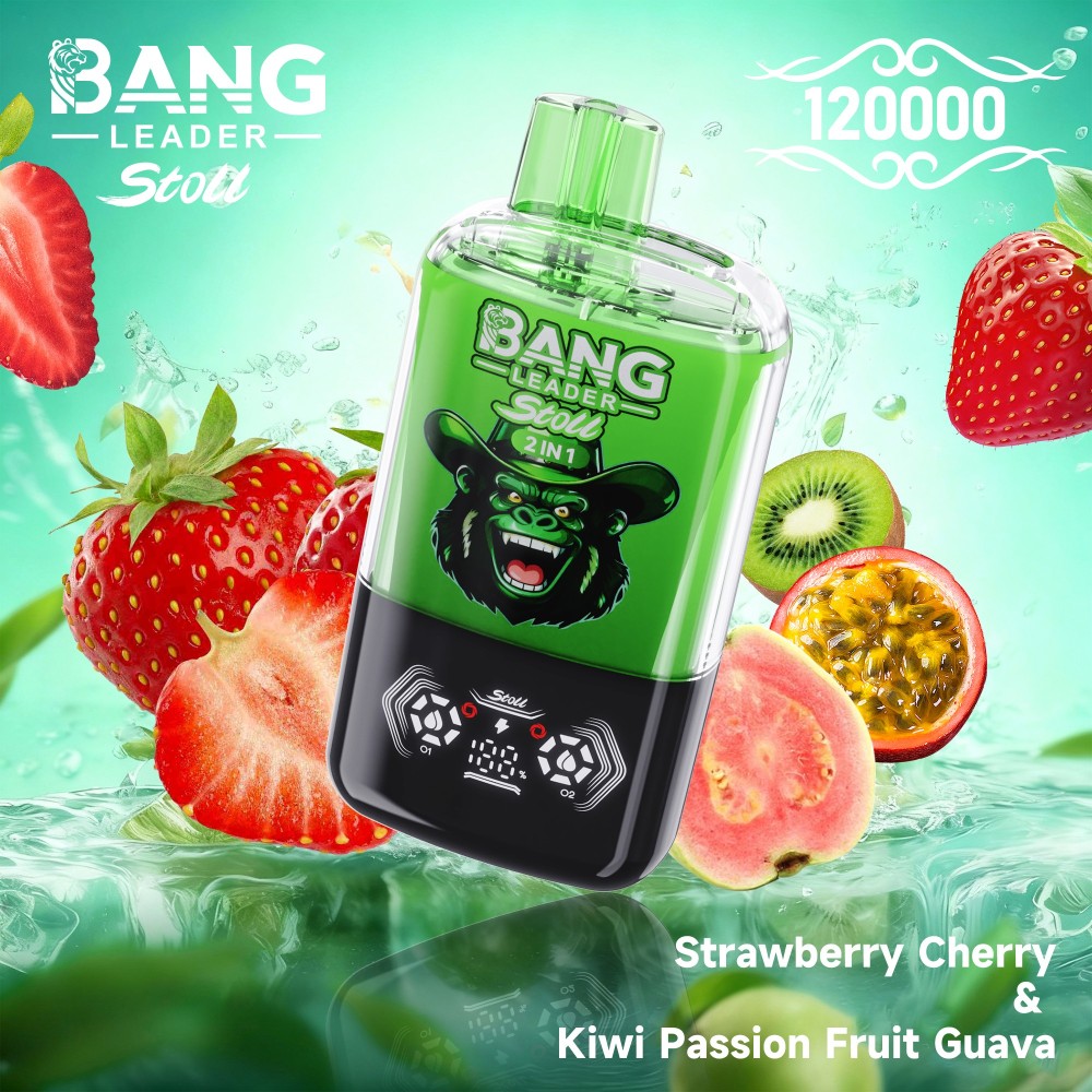 Bang Leader 120000 Puffs Vape Wholesale | High Capacity 2 IN 1 Flavor Vape with 650mAh Battery, Type-C Fast Charging & Smart Display