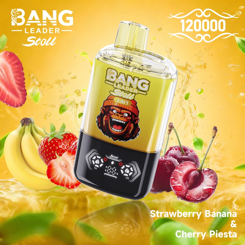 Bang Leader 120000 Puffs Vape Wholesale | High Capacity 2 IN 1 Flavor Vape with 650mAh Battery, Type-C Fast Charging & Smart Display