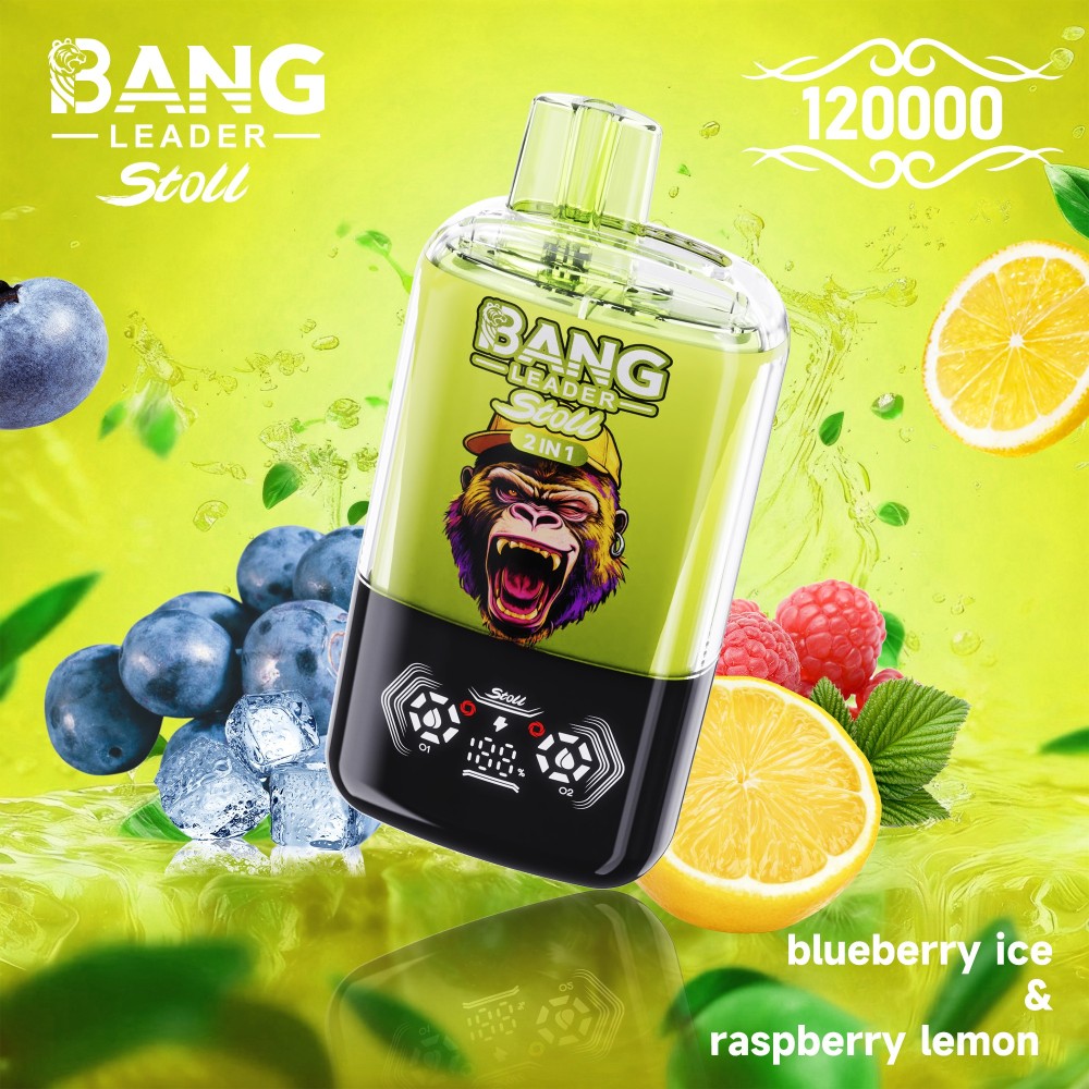 Bang Leader 120000 Puffs Vape Wholesale | High Capacity 2 IN 1 Flavor Vape with 650mAh Battery, Type-C Fast Charging & Smart Display