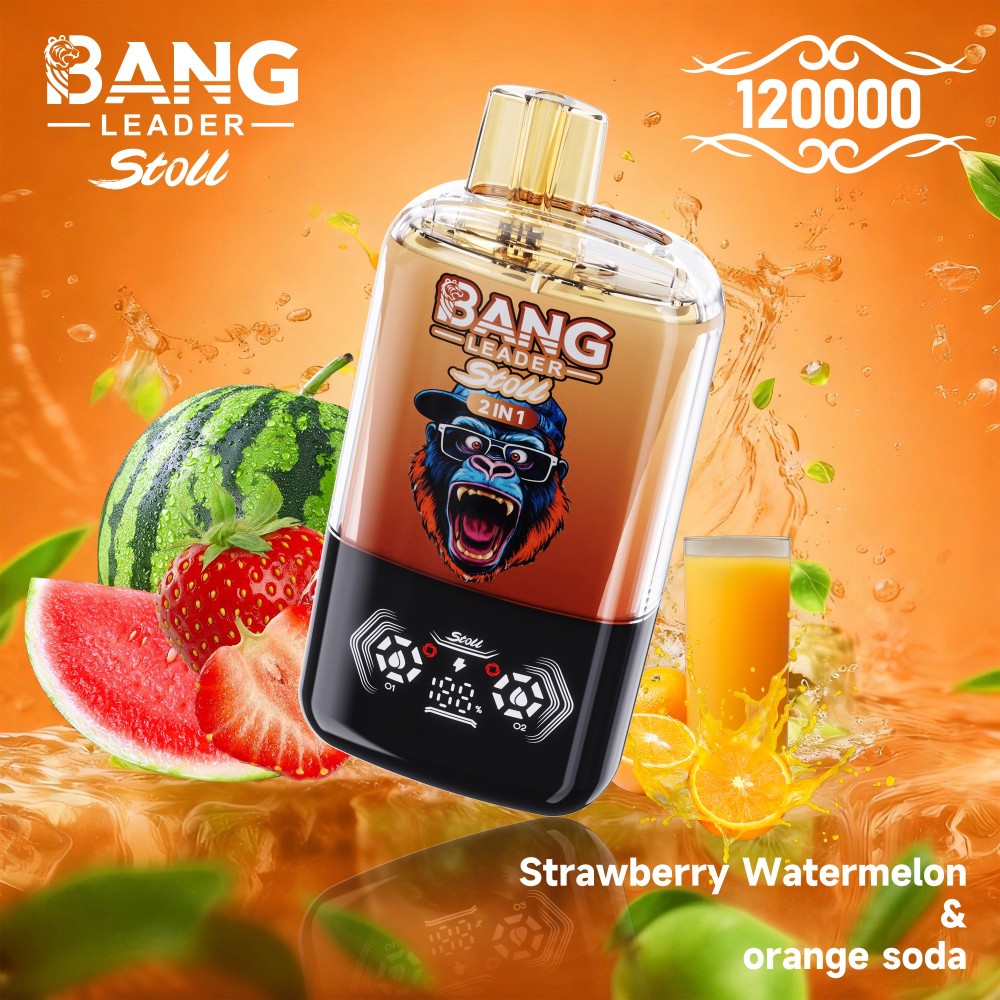 Bang Leader 120000 Puffs Vape Wholesale | High Capacity 2 IN 1 Flavor Vape with 650mAh Battery, Type-C Fast Charging & Smart Display