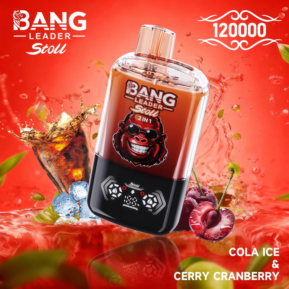 Bang Leader 120000 Puffs Vape Wholesale | High Capacity 2 IN 1 Flavor Vape with 650mAh Battery, Type-C Fast Charging & Smart Display