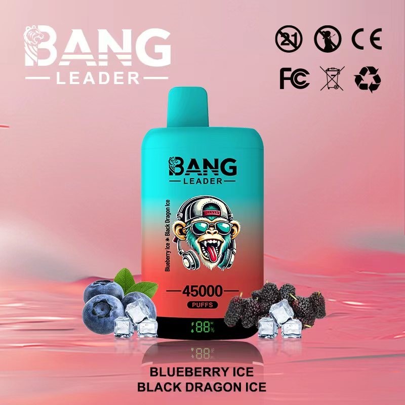 Bang Leader 45000 Puffs Double Flavor Vape | 45K Disposable Vape with Dual Mesh Coil & 650mAh Rechargeable Battery