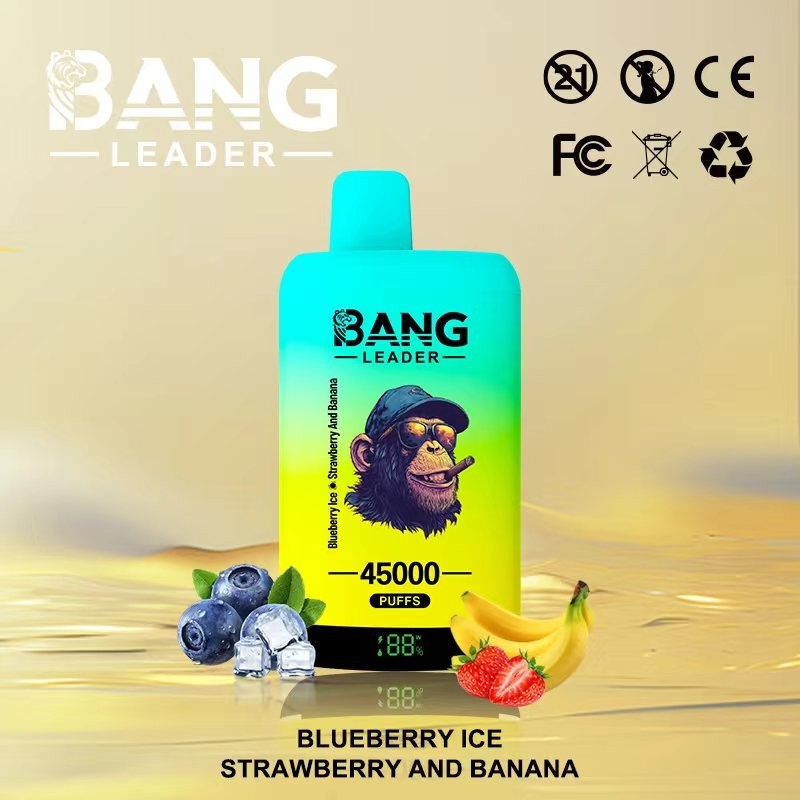 Bang Leader 45000 Puffs Double Flavor Vape | 45K Disposable Vape with Dual Mesh Coil & 650mAh Rechargeable Battery